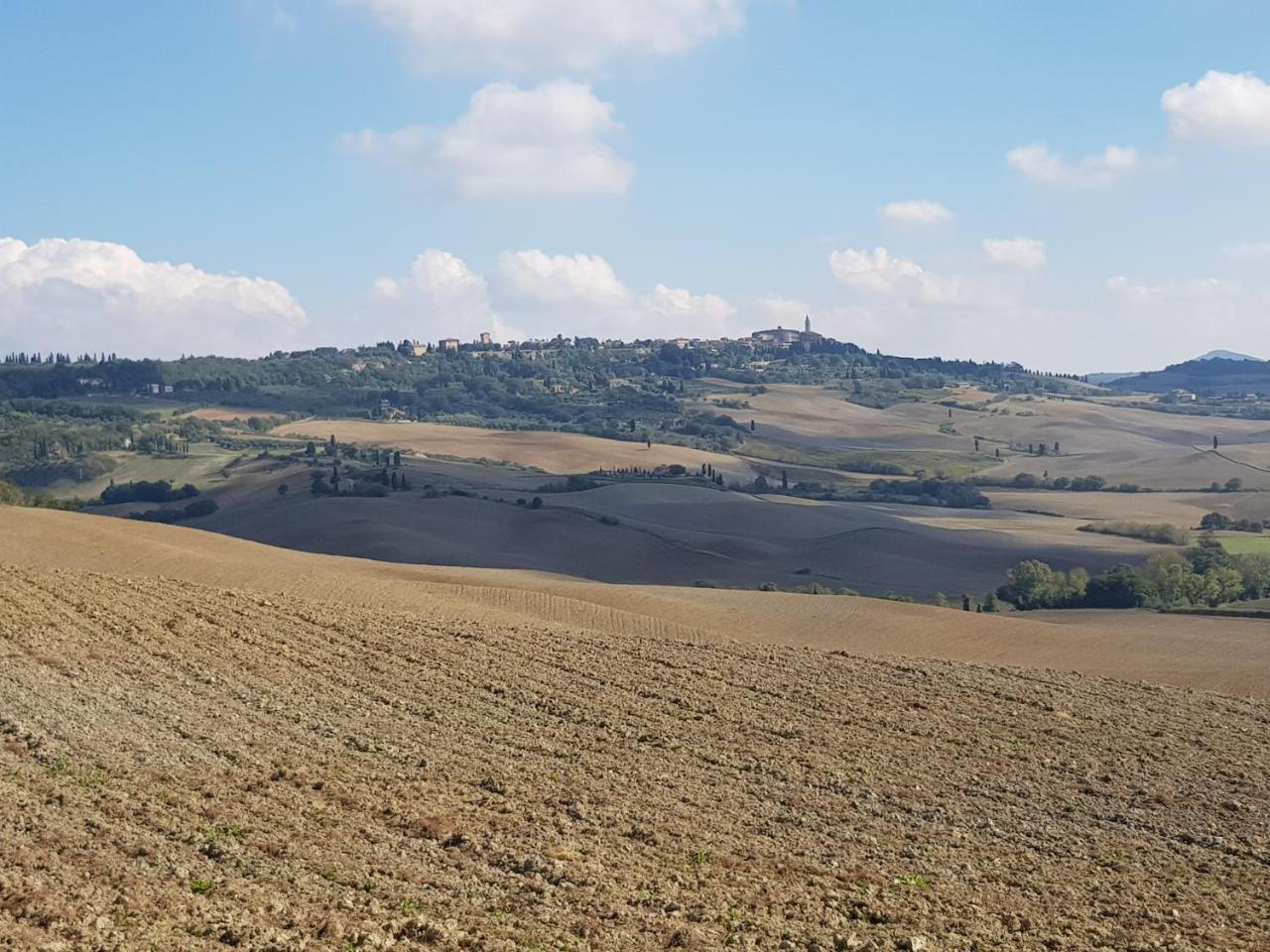B&B Il Glicine Montefollonico Kültér fotó