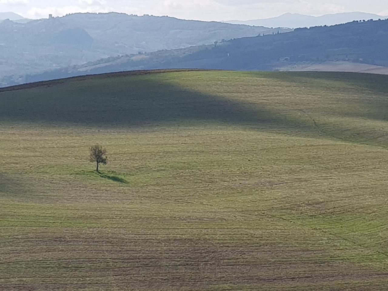 B&B Il Glicine Montefollonico Kültér fotó