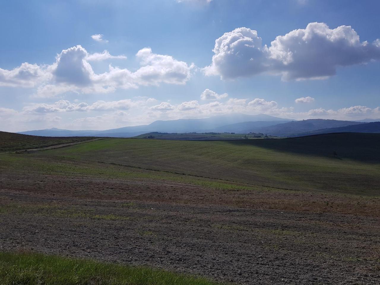 B&B Il Glicine Montefollonico Kültér fotó