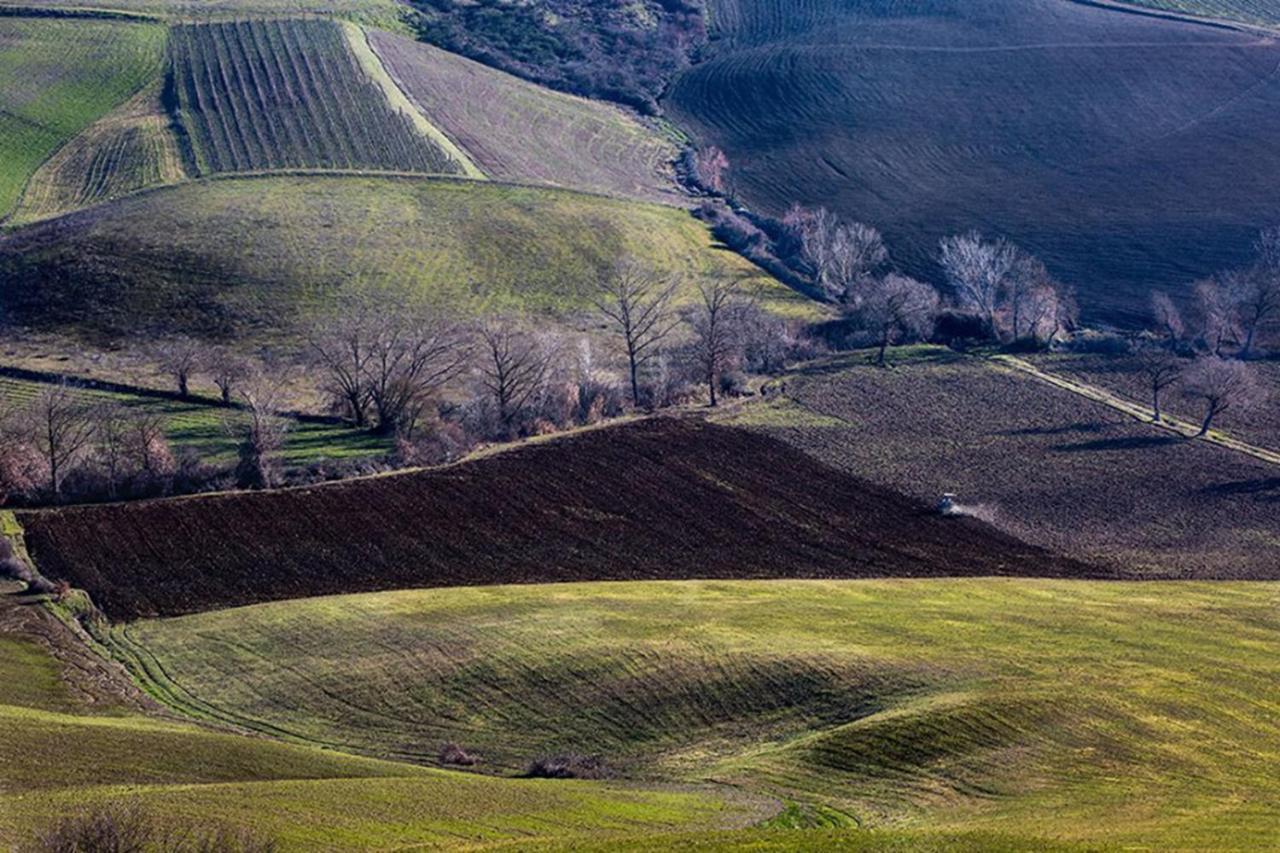 B&B Il Glicine Montefollonico Kültér fotó