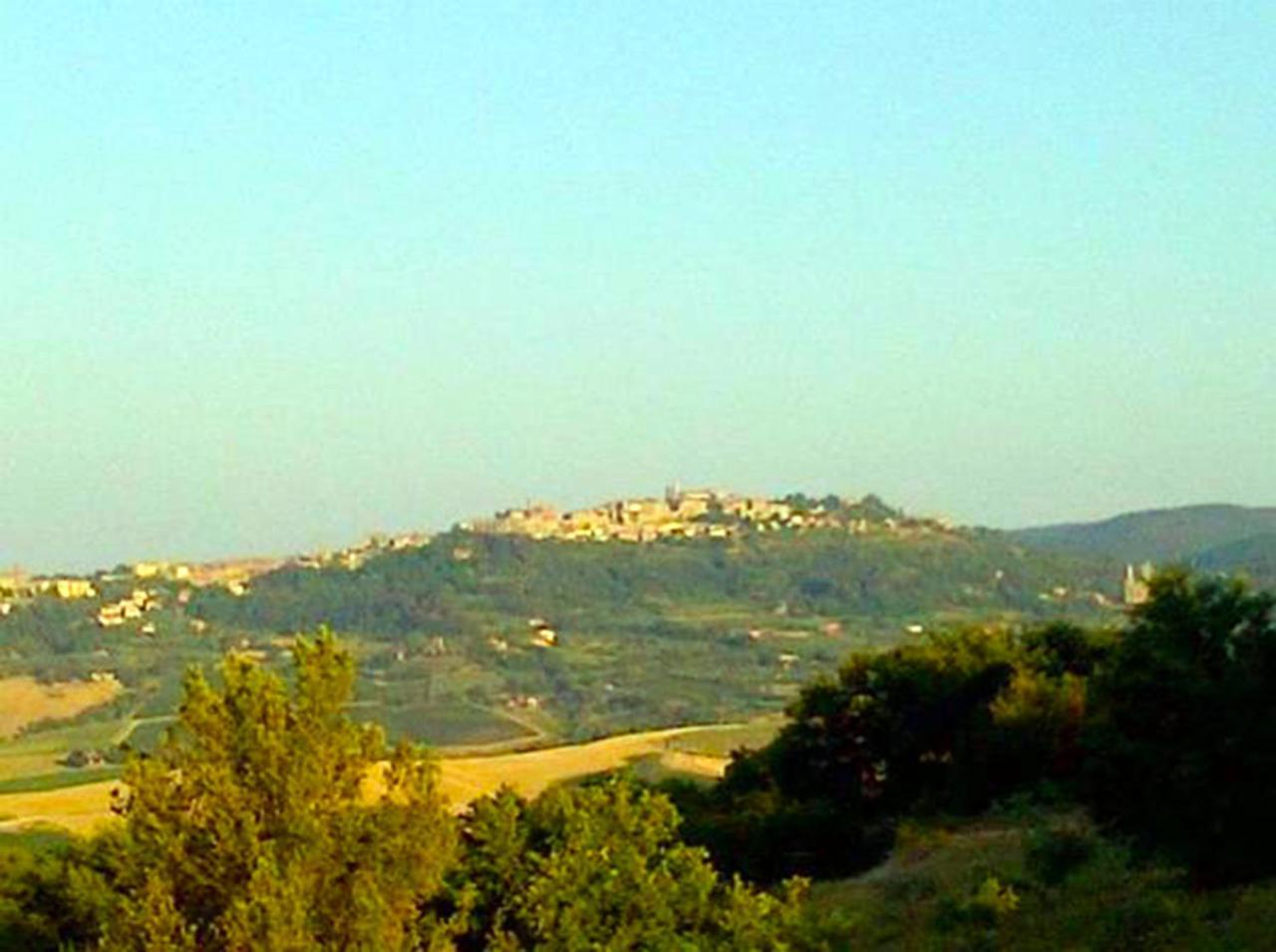 B&B Il Glicine Montefollonico Kültér fotó