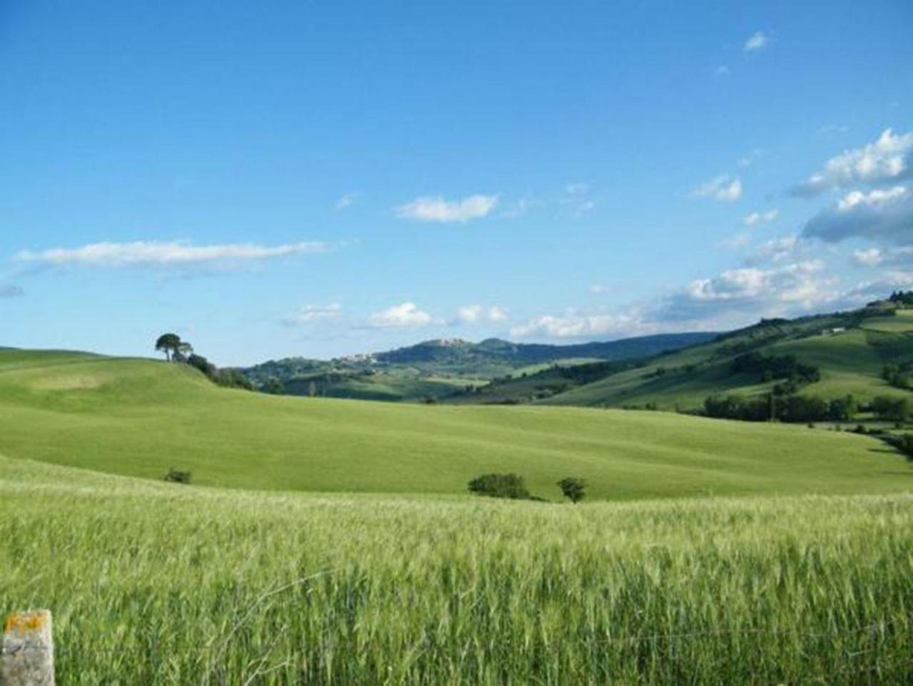 B&B Il Glicine Montefollonico Kültér fotó