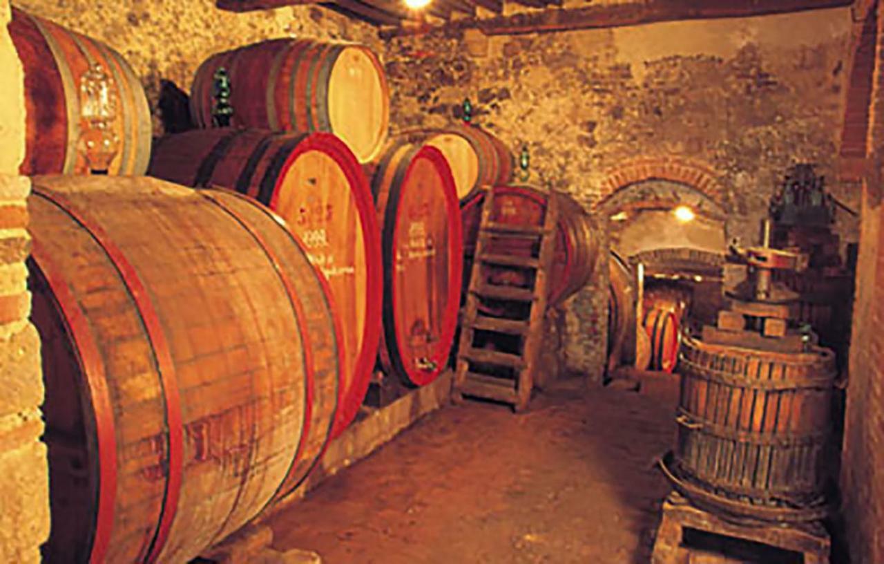 B&B Il Glicine Montefollonico Kültér fotó