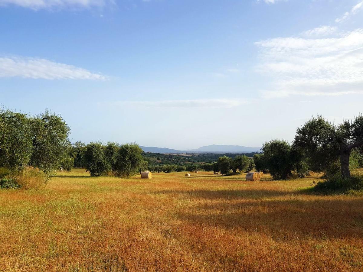 B&B Il Glicine Montefollonico Kültér fotó